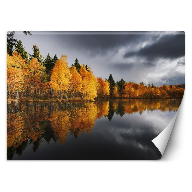 Fototapeta Feeby Jesienny Las nad Jeziorem 300x210 1 szt