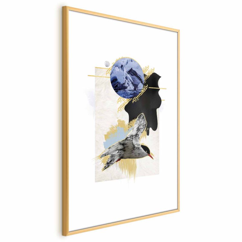 Plakat Artgeist Rybitwa antarktyczna 60x90 cm z ramą złotą 1 szt