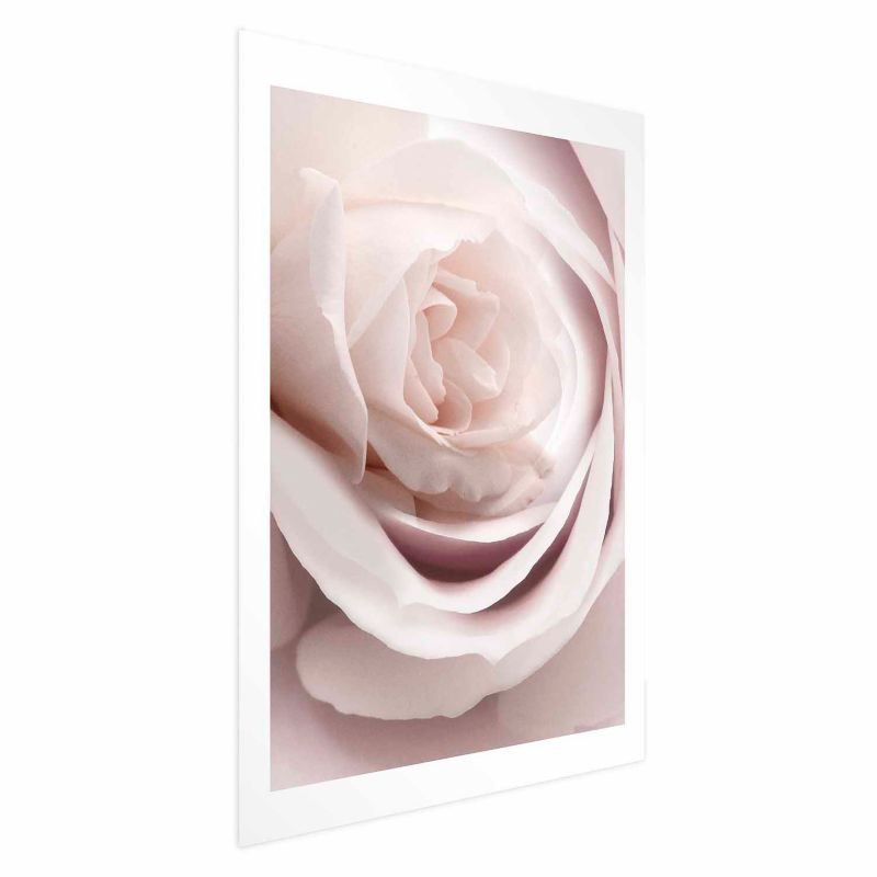 Plakat Artgeist Porcelanowa róża 40x60 cm bez ramy 1 szt