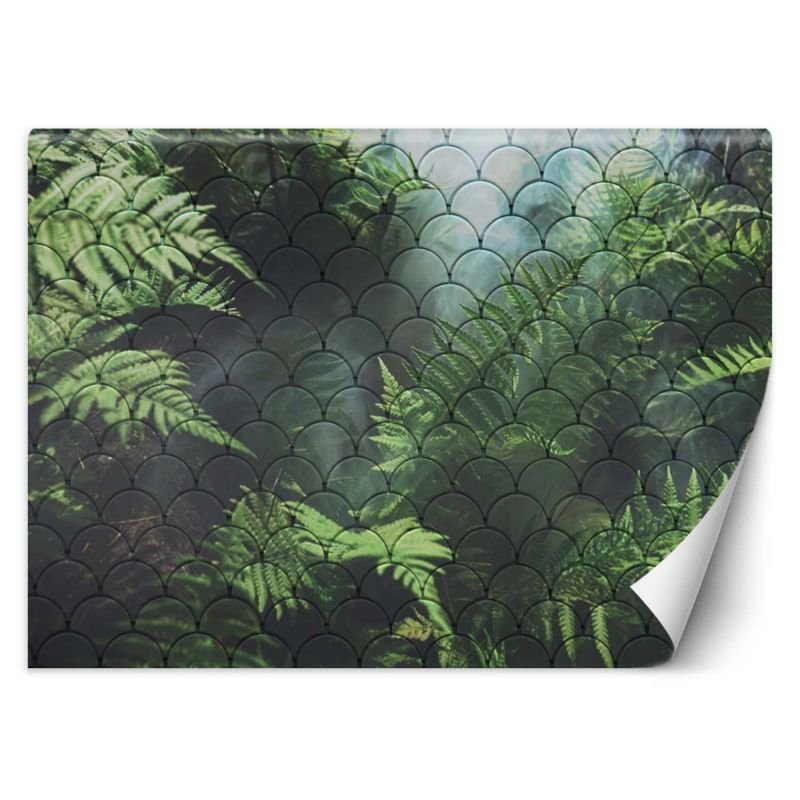 Fototapeta Feeby Liście paproci we mgle 150x105 1 szt