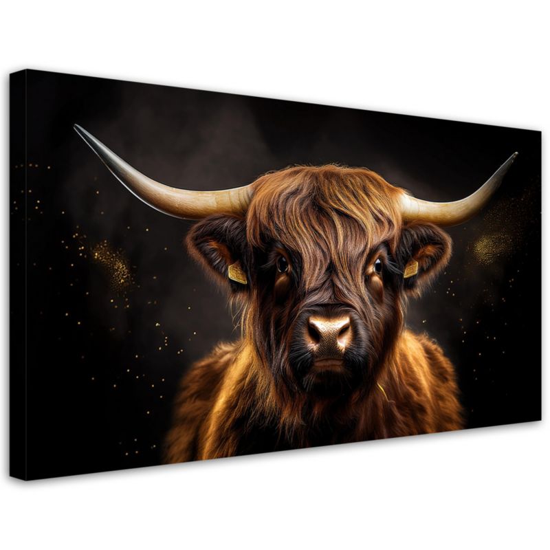 Obraz na płótnie Feeby 80x40cm Szkocka Krowa Glamour 1 szt.