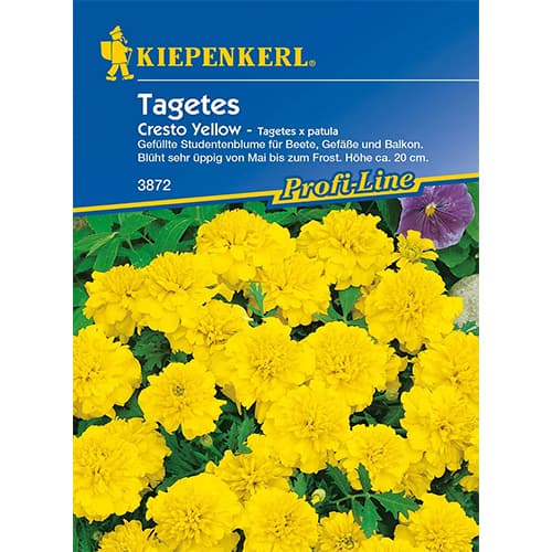 1 szt, Tagetes Cresto Yellow - Samen: Ilość w opakowaniu: 1 Stück