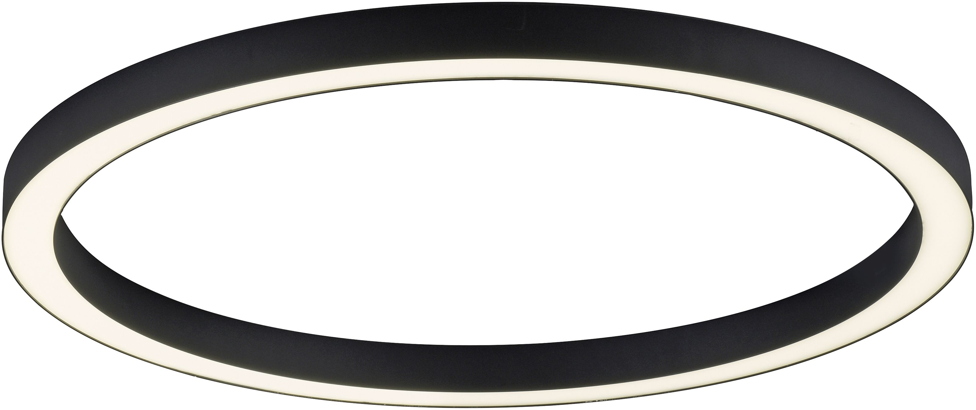 Paul Neuhaus Pure-Lines plafon 1x42W antracyt 6306-13