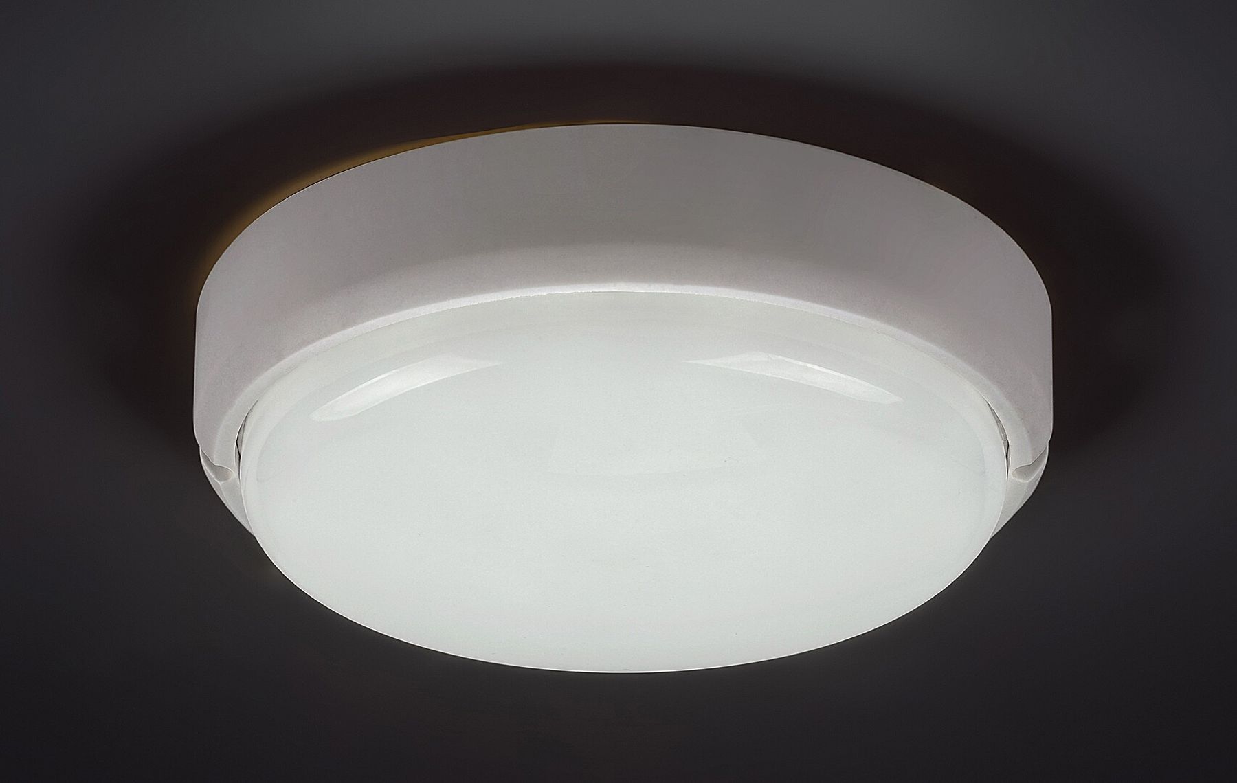 Rabalux Hort plafon zewnętrzny 1x15W biały 7406