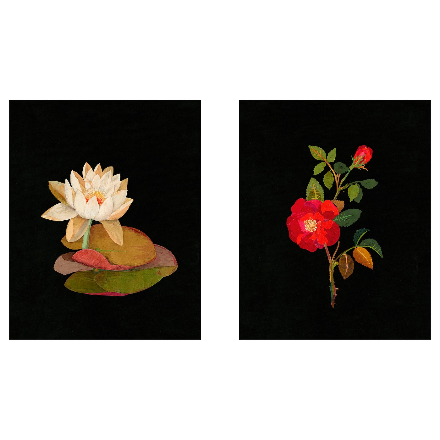 IKEA BILD Plakat, Flora Delanica I, 40x50 cm