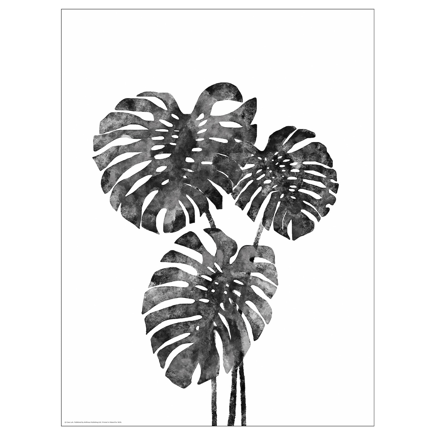 IKEA BILD Plakat, Monstera, 30x40 cm