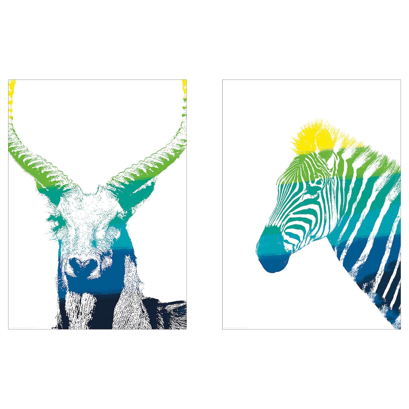 IKEA BILD Plakat, Zwierzęta w spektrum, 40x50 cm