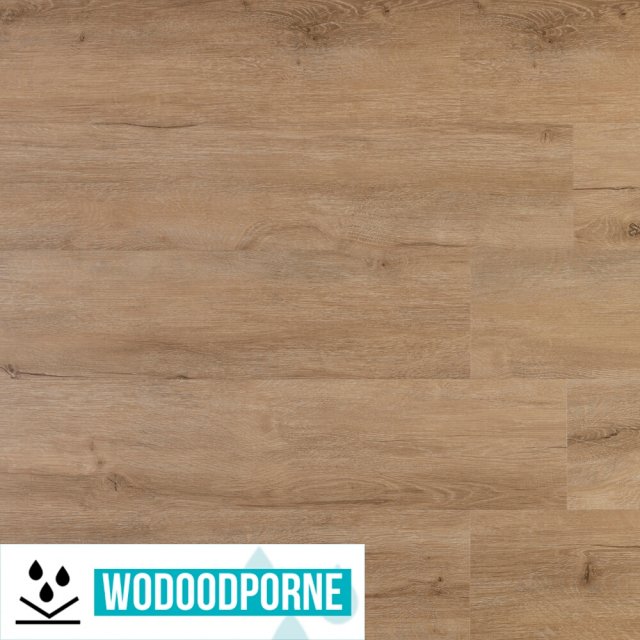 Panele winylowe SPC BESTLAMINATE ADDURI CLASSIC DĄB JASNY KL 23-33 5