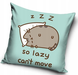 POSZEWKA NA PODUSZKĘ JASIEK 40X40 KOTEK PUSHEEN MIĘKKA VELVET WELWET PUSZIN