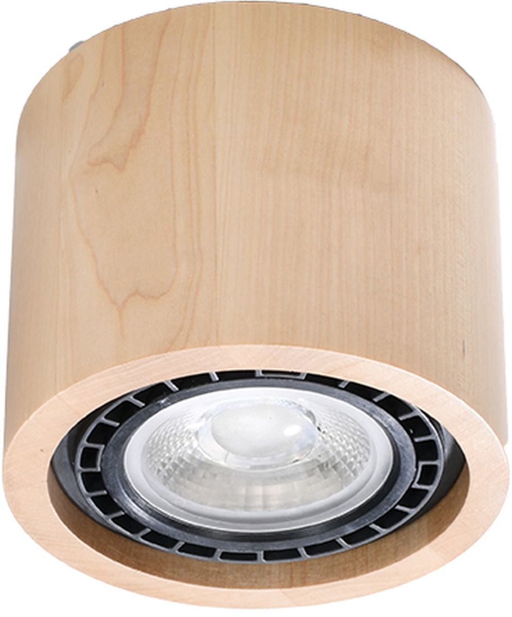 Darmowa Dostawa - Lampa podsufitowa Sollux Lighting Basic SL0913
