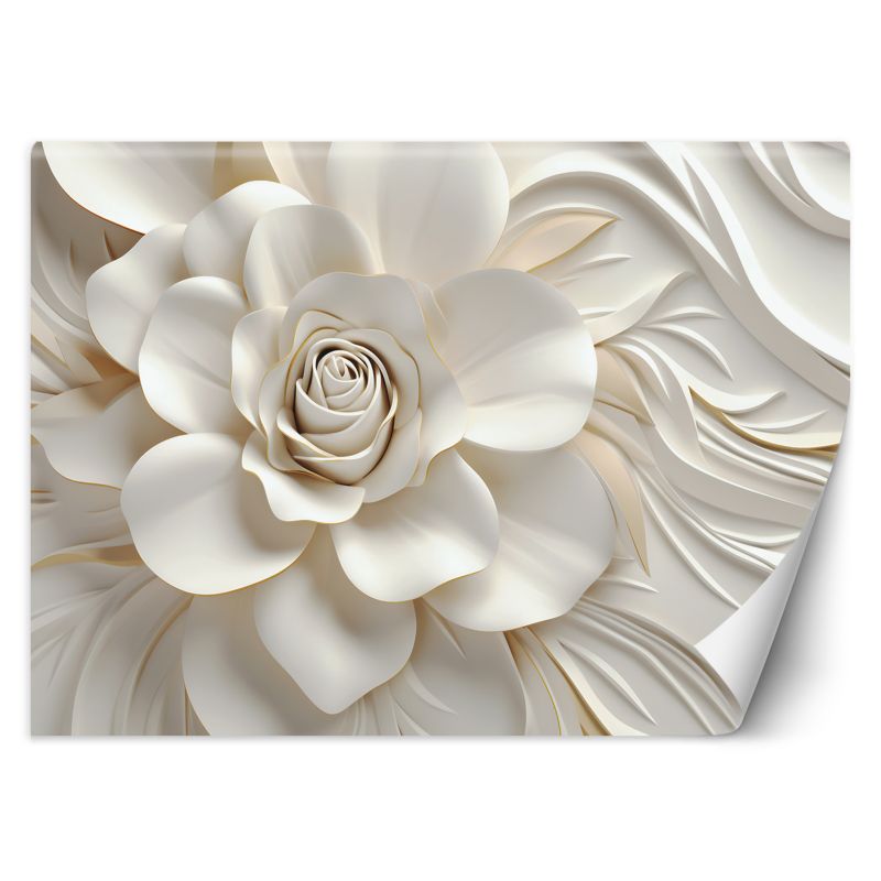 Fototapeta Feeby Biała róża 3D 150x105 1 szt