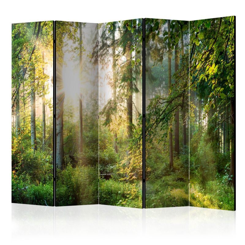 Parawan akustyczny Artgeist Pejzaże 225x172 cm Pejzaże 1 szt