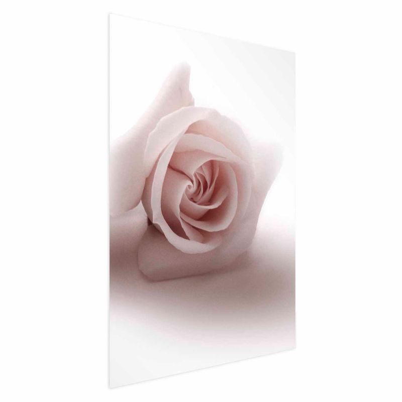 Plakat Artgeist Różany cień 29,7x42 cm bez ramy 1 szt