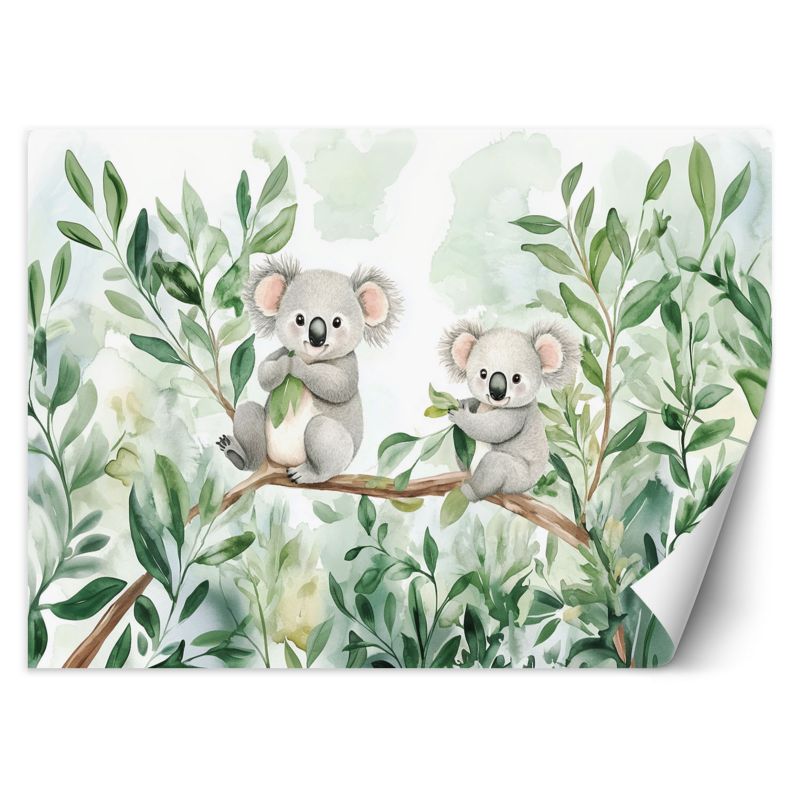 Fototapeta Feeby Misie Koala Liście eukaliptusa 200x140 1 szt