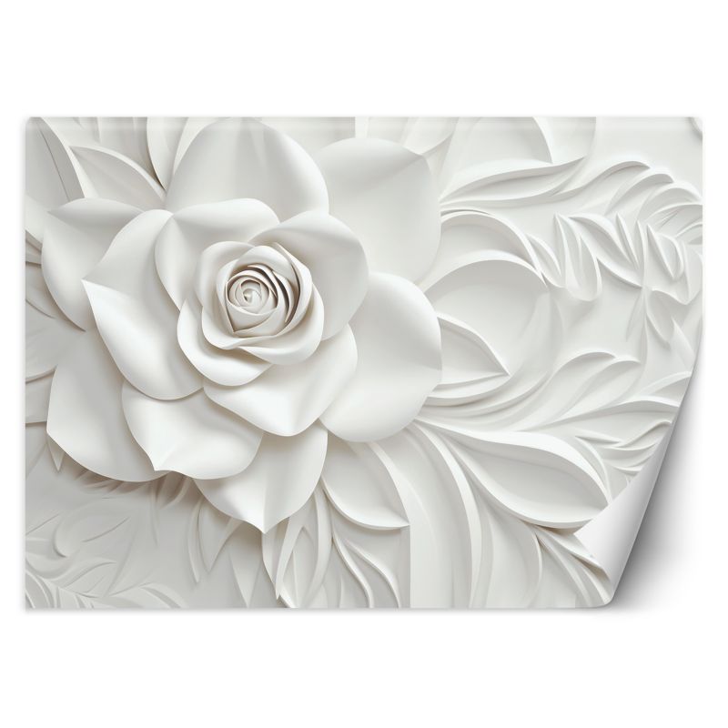 Fototapeta Feeby Kwitnący kwiat róży 3D 450x315 1 szt