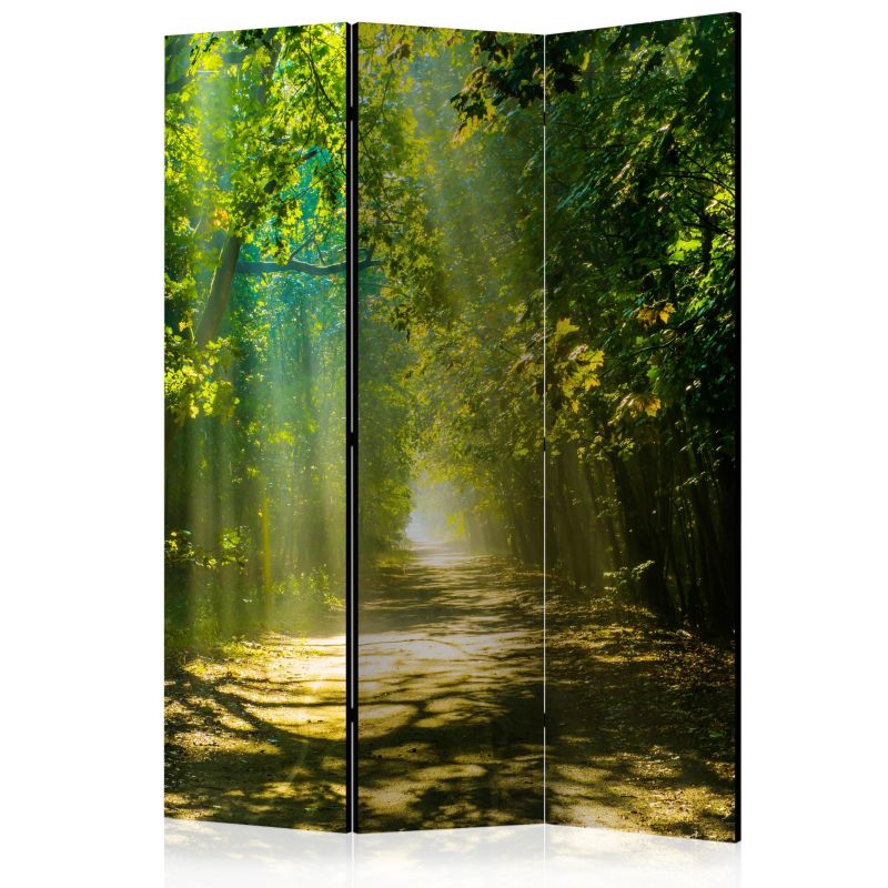 Parawan dwustronny Artgeist Pejzaże 135x172 cm Pejzaże 1 szt