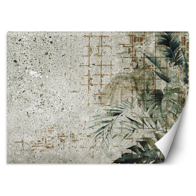 Fototapeta Feeby Beton Papuga Ptak Liście Monstera Zielony 250x175 1 szt