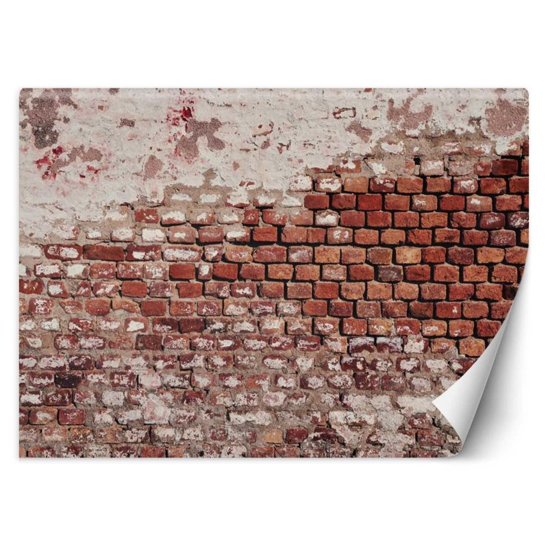 Fototapeta Feeby Stary ceglany mur 450x315 1 szt