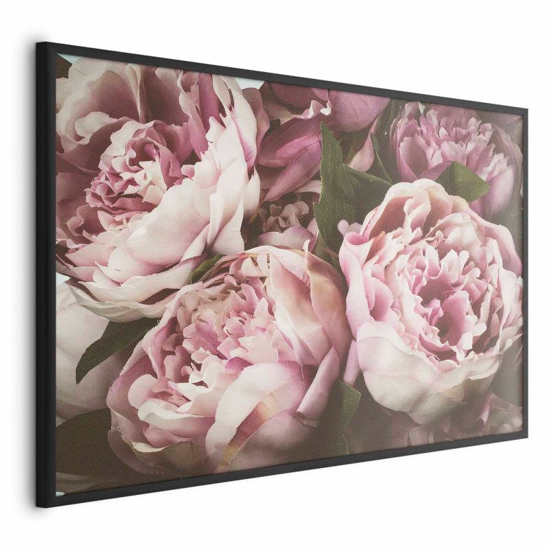 Plakat Artgeist Różowe piwonie 60x40 cm z ramą czarną 1 szt
