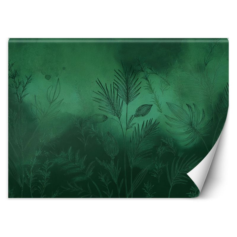 Fototapeta Feeby Zielona abstrakcja botaniczna 150x105 1 szt