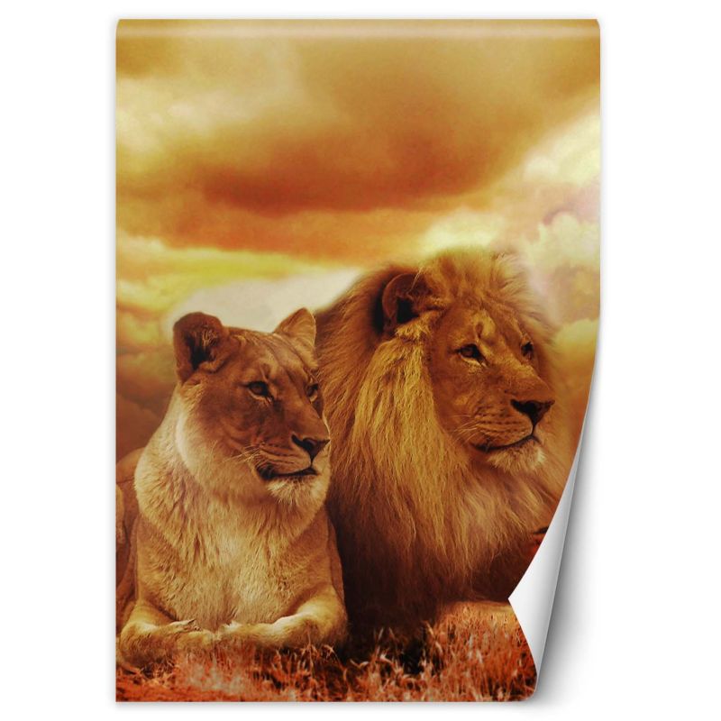 Fototapeta Feeby Para lwów 200x280 1 szt
