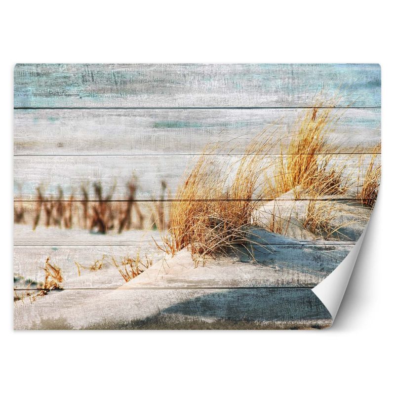 Fototapeta Feeby Wydmy plaża na drewnie 350x245 1 szt