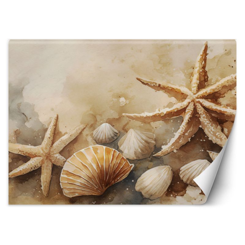 Fototapeta Feeby morski muszle i rozgwiazdy akrylowy 200x140 1 szt