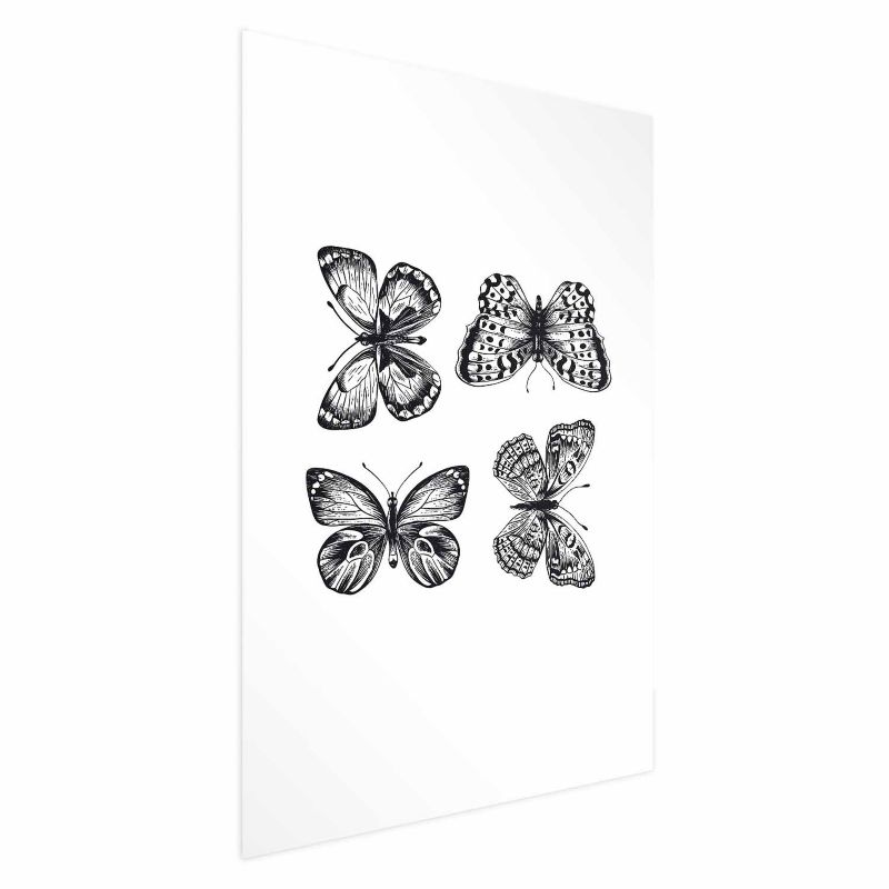 Plakat Artgeist Cztery motyle 40x60 cm bez ramy 1 szt