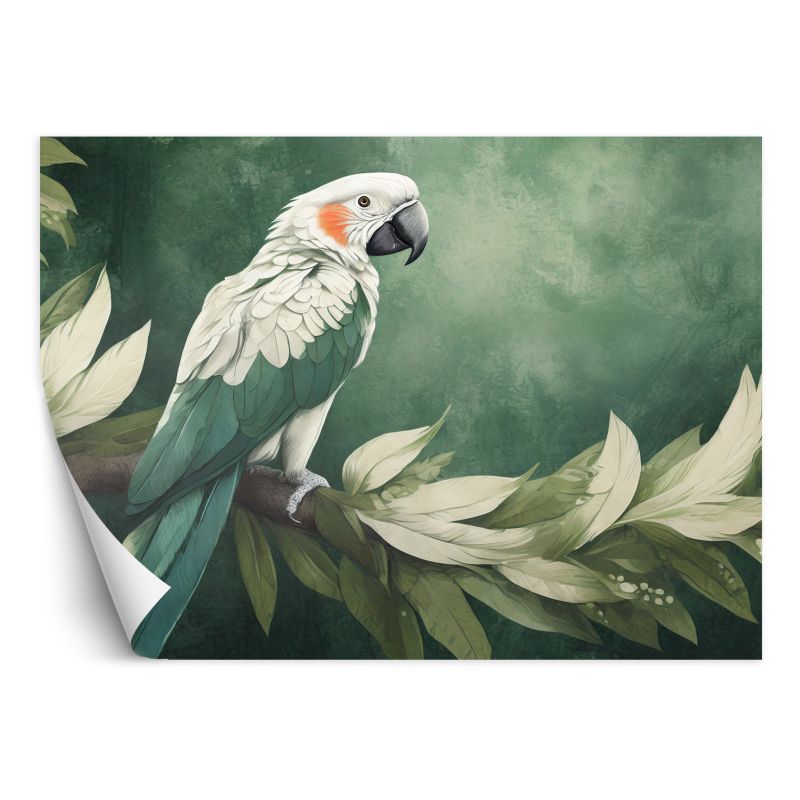 Fototapeta Feeby Papuga Ptak Zwierzęta 350x245 1 szt