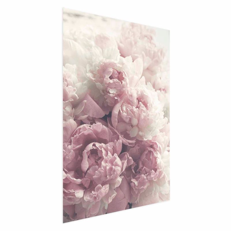 Plakat Artgeist Delikatne piwonie 40x60 cm bez ramy 1 szt