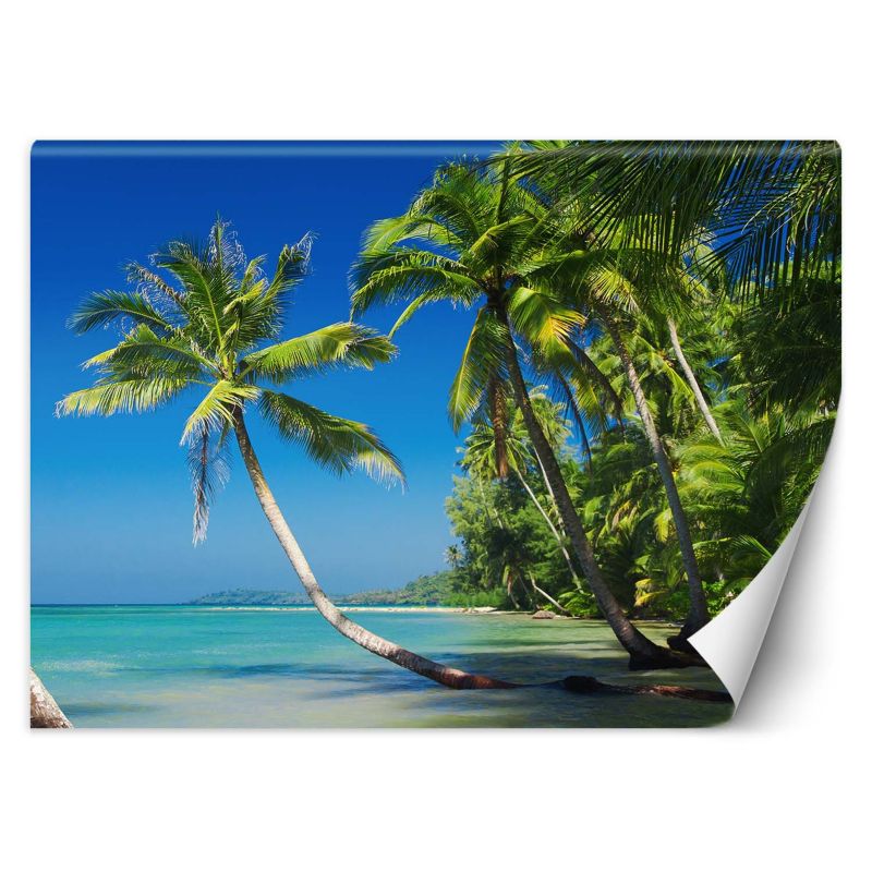Fototapeta Feeby Palmy na dzikiej wyspie 400x280 1 szt