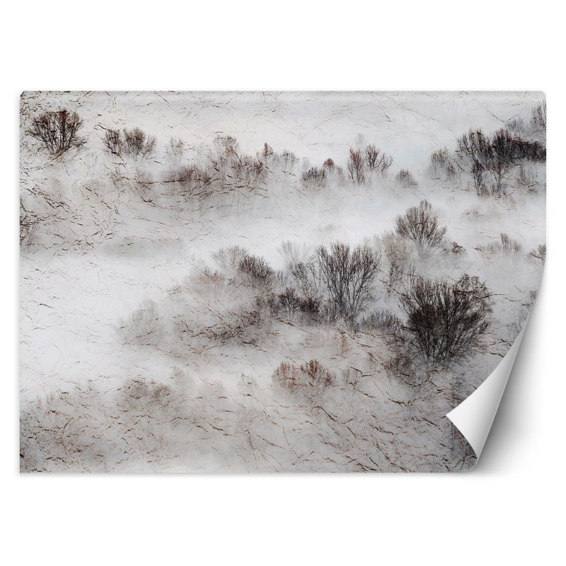 Fototapeta Feeby Łąka mgła drzewa 100x70 1 szt