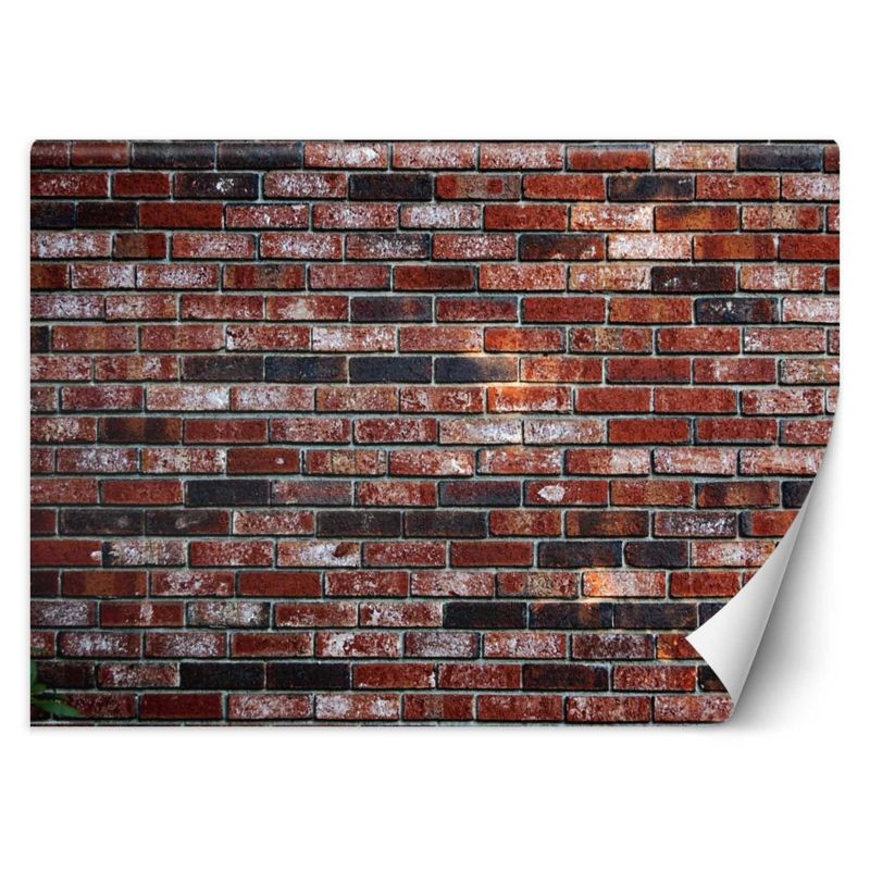 Fototapeta Feeby Mur z czerwonej cegły 350x245 1 szt