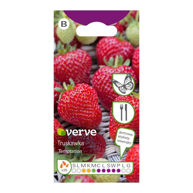 Nasiona truskawka Temptation Verve