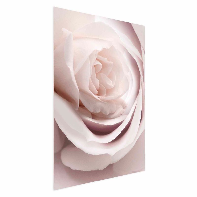 Plakat Artgeist Porcelanowa róża 21x30 cm bez ramy 1 szt