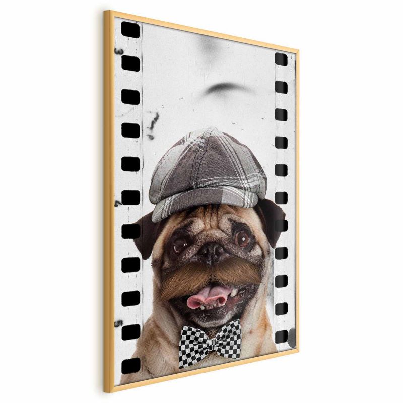 Plakat Artgeist Mops w czapce 60x90 cm z ramą złotą 1 szt