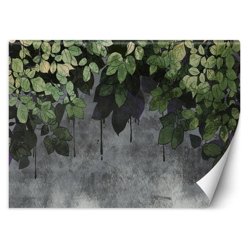 Fototapeta Feeby Liście na tle z betonu 350x245 1 szt
