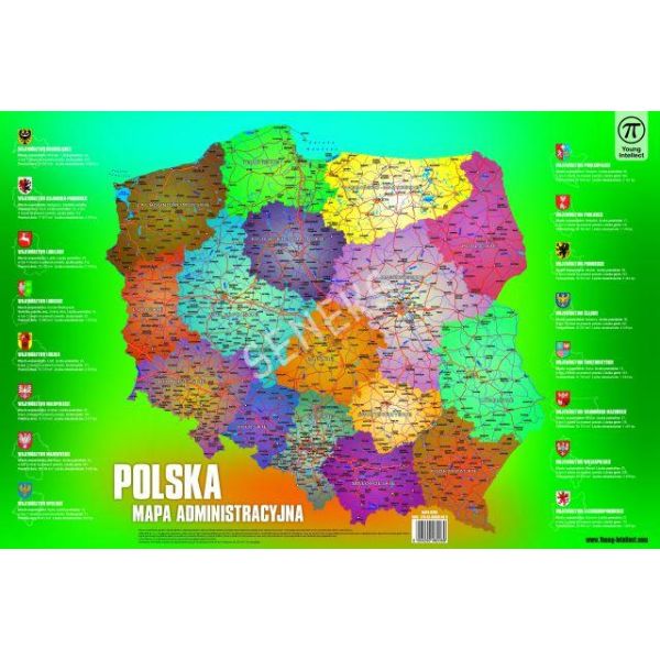 Plansza na biurko MAPA POLSKI, rozm. 550x365 mm, Young Intellect