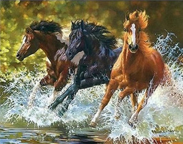 MALOWANIE PO NR. KONIE ROZBRYZGUJĄCE WODĘ PAK 15 50X40 CM