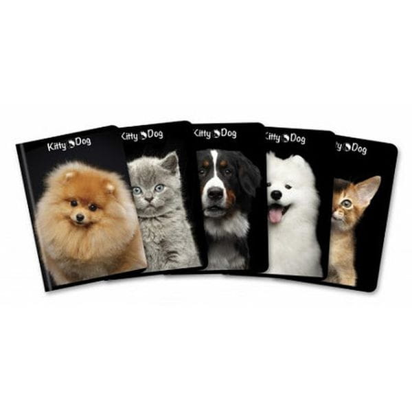 BRULION A5 96 70G KITTY