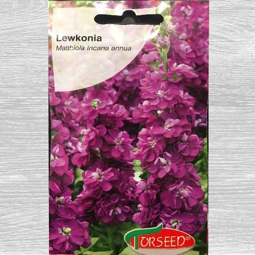 1 szt, Lewkonia letnia Excelsior fioletowa - Nasiona: Ilość w opakowaniu: 0.5 g