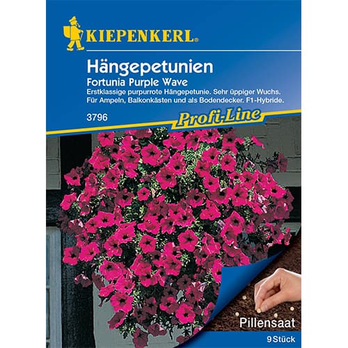 1 szt, Petunia Fortunia Purple Wave F1 - Nasiona: Ilość w opakowaniu: 10 dr