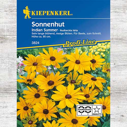 1 szt, Rudbekia owłosiona Indian Summer - Nasiona: Ilość w opakowaniu: 1 opak