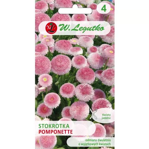1 szt, Stokrotka Pomponette rozowa - Nasiona: Ilość w opakowaniu: 0.1 g