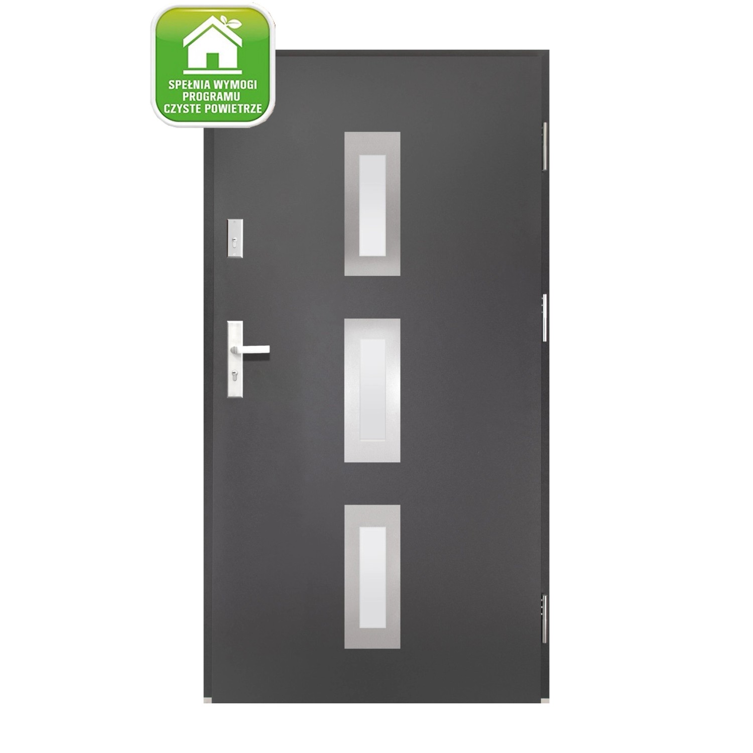 Splendoor Drzwi zewnętrzne Dorno antracyt 90P