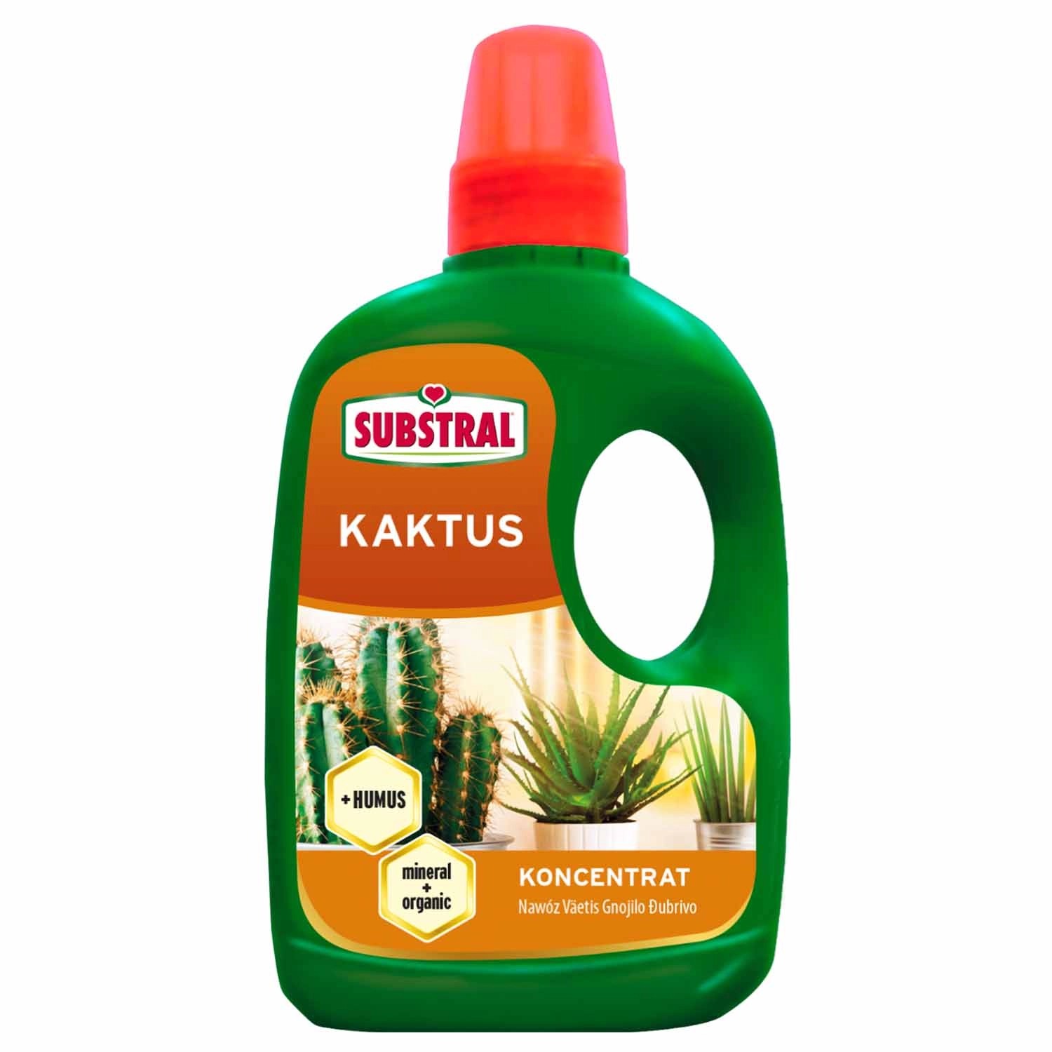 Substral Nawóz do kaktusów 250 ml.