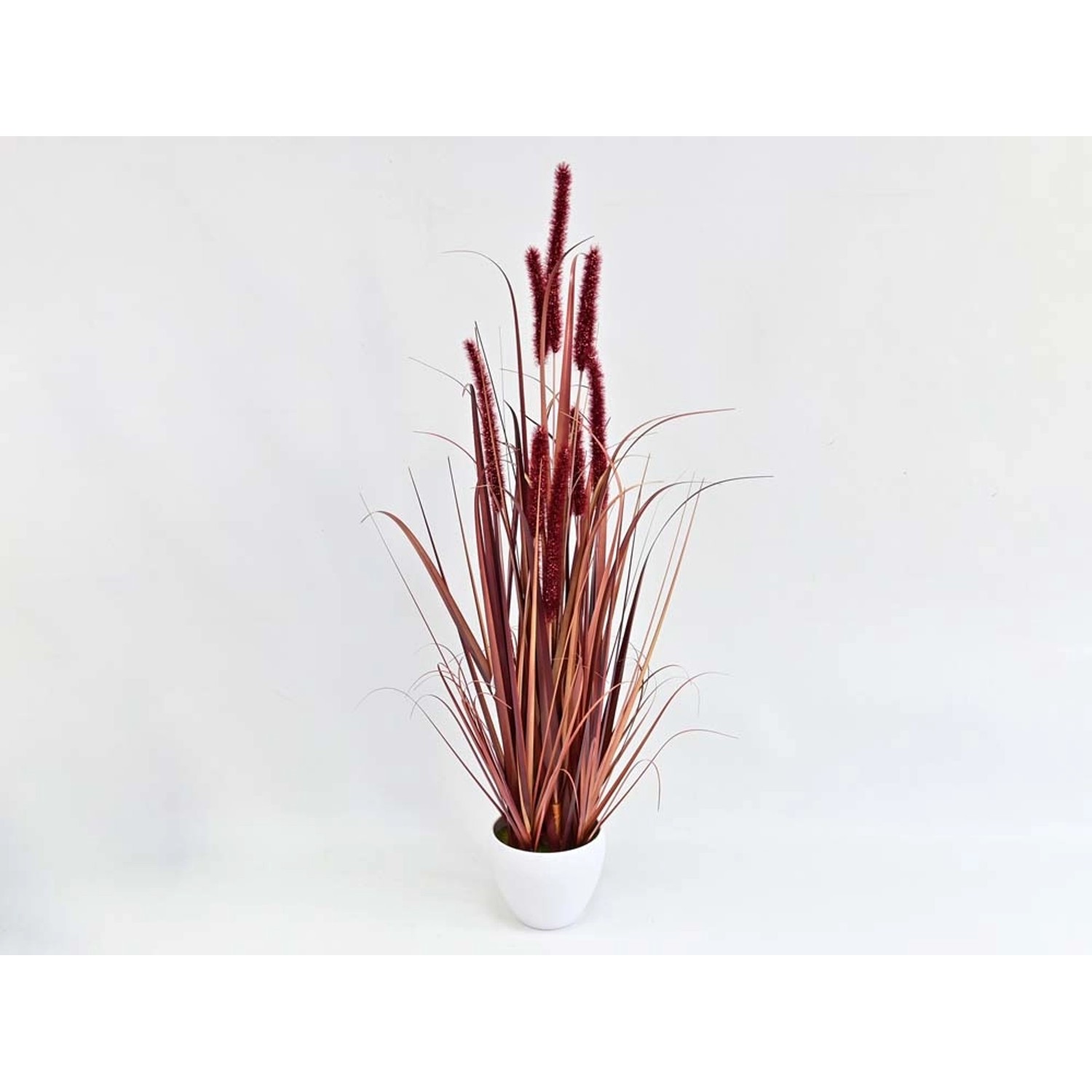 Trawa ozdobna w doniczce - 90 cm