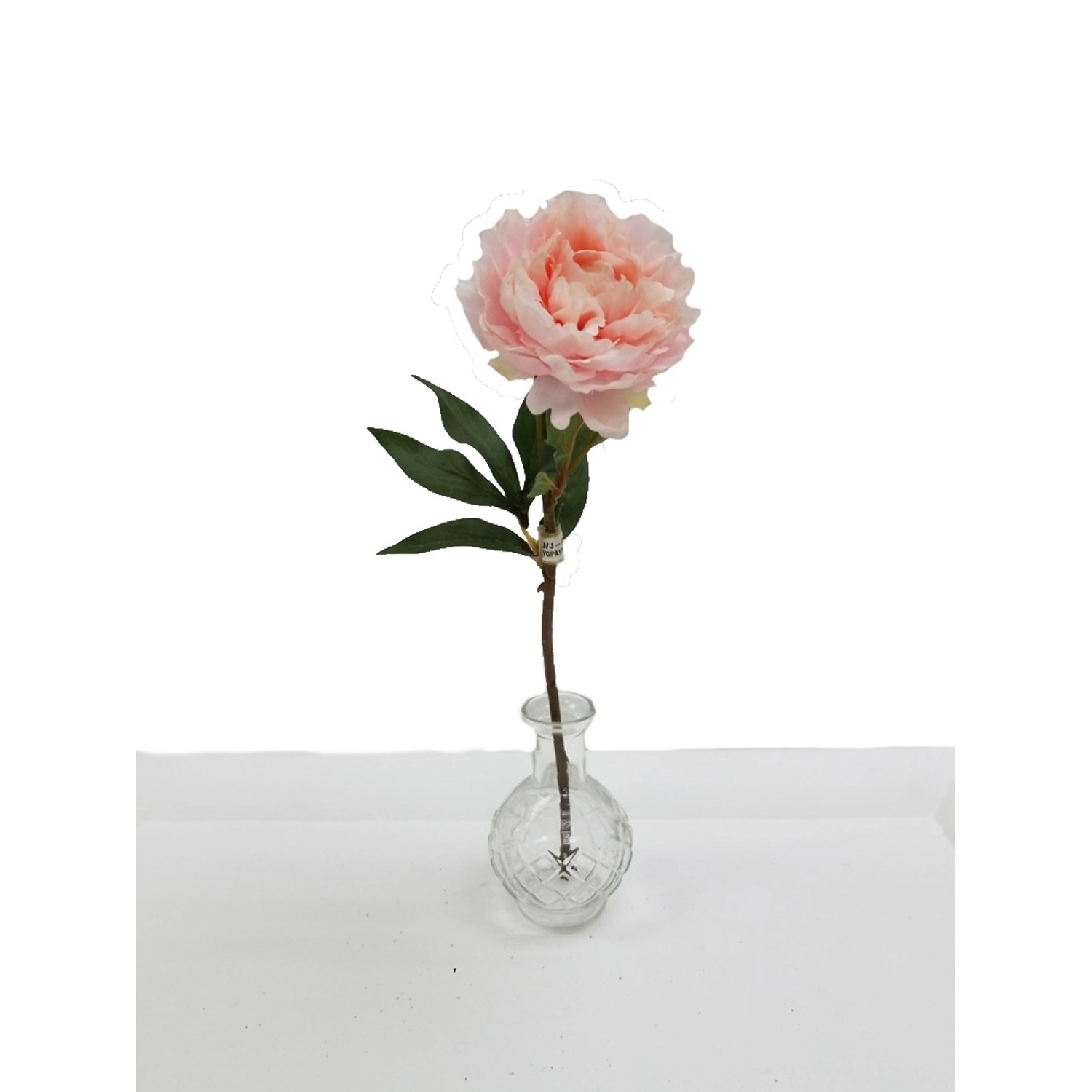 Peonia różowa wys. 36 cm