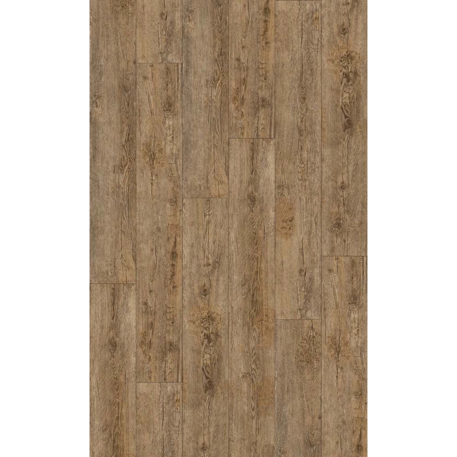 Home Inspire Panel winylowy SPC Dąb Negros 4 mm