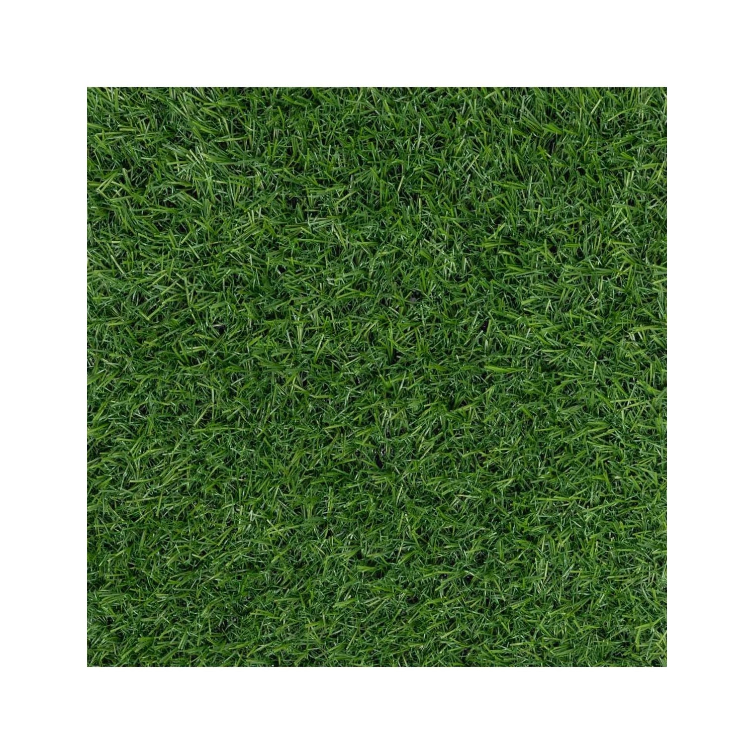 Multidecor Sztuczna trawa Sycylia w rolce 2x5 m wys. 15 mm